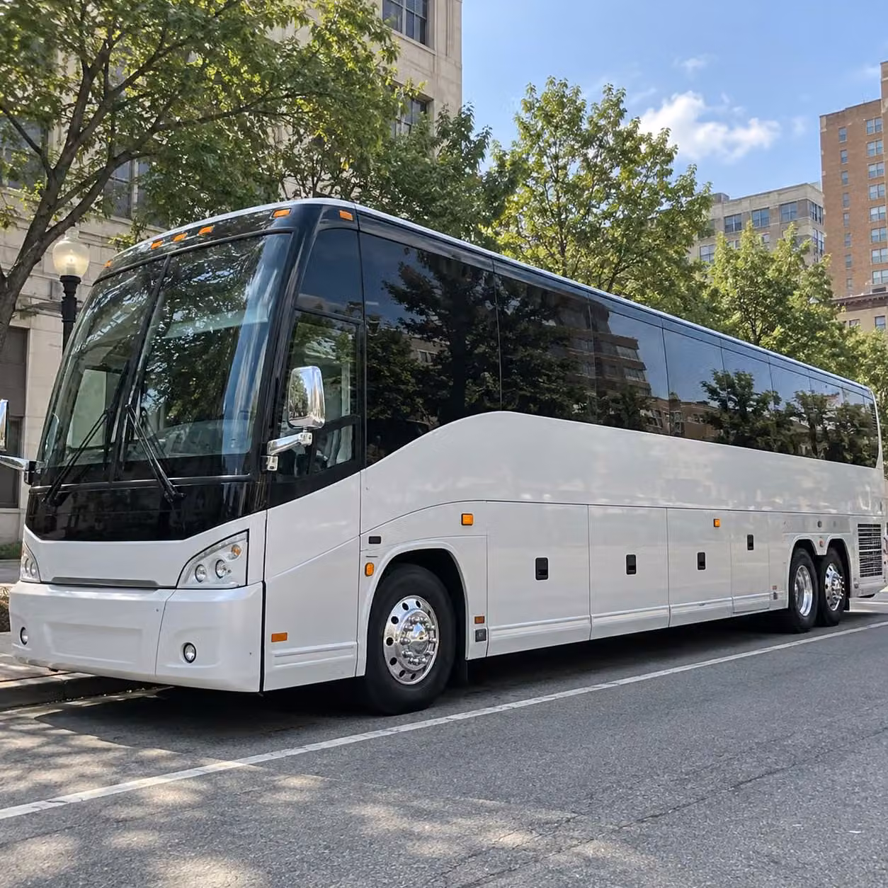 norfolk tides game day transportation to harbor park